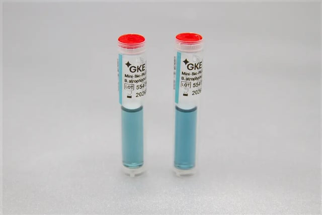 SCBI for Ethylene Oxide Sterilization