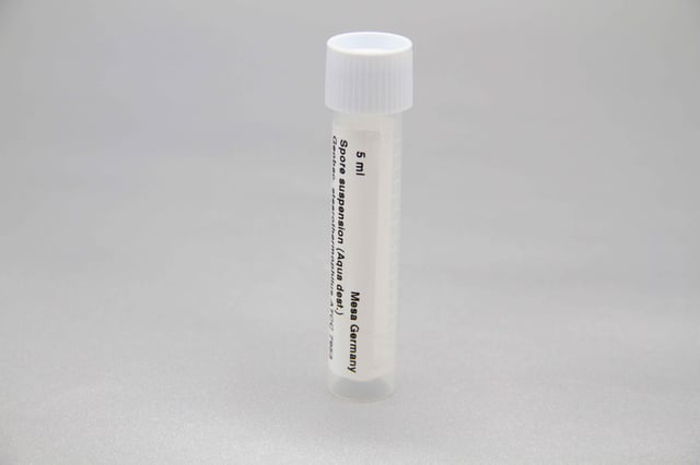 stearo-suspension_aqua-dest_web